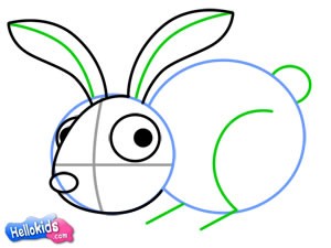 how-to-draw-rabbit-5