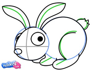 how-to-draw-rabbit-7