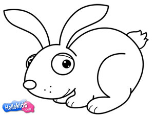 how-to-draw-rabbit-8