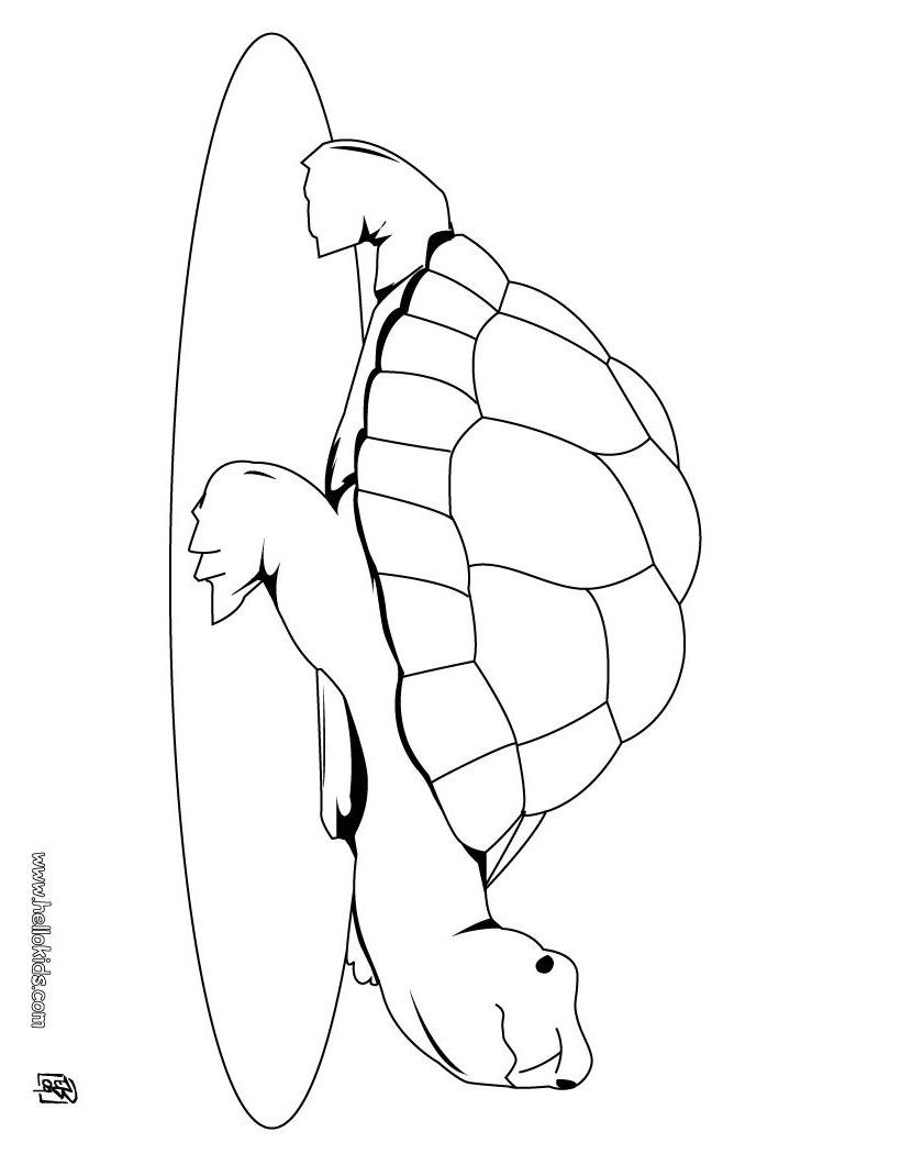 turtle-coloring-page