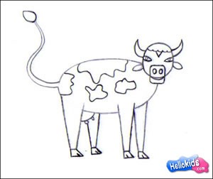 how-to-draw-cow-step4