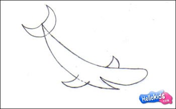 how-to-draw-shark-step3