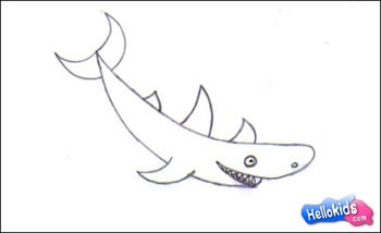 how-to-draw-shark-step4