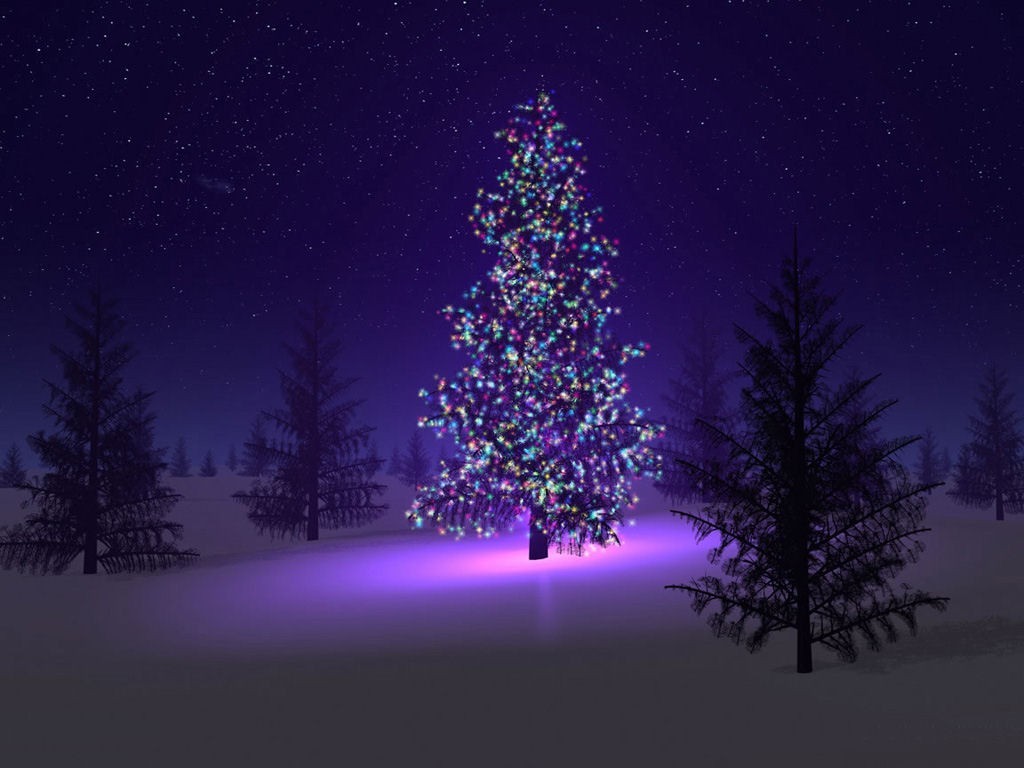 beautiful-christmas-tree-source_bp8.jpg