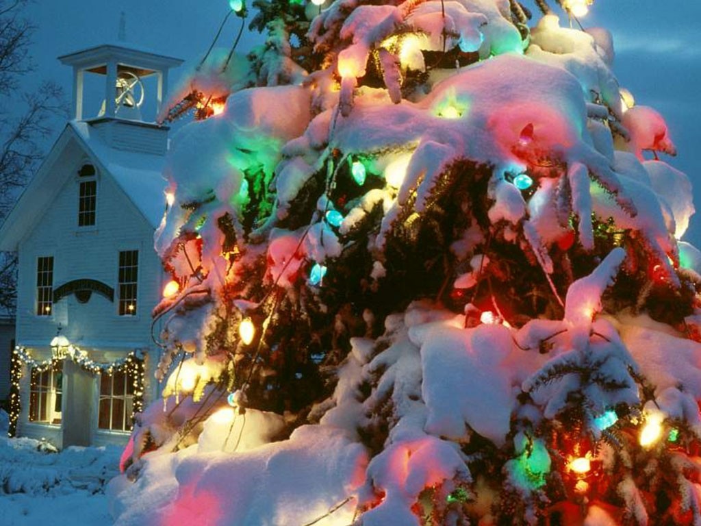 Colorful Christmas Tree