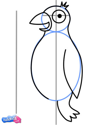 how-to-draw-penguin-step5