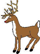 reindeer03