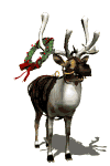 reindeer12