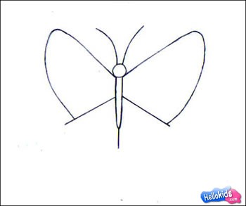 BUTTERFLY drawing lesson