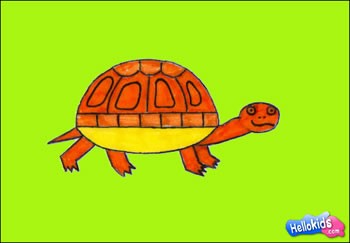 dessin tortue