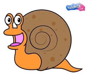 how-to-draw-snail-step9