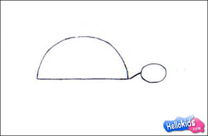 how-to-draw-turtle-step1