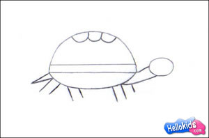 how-to-draw-turtle-step3