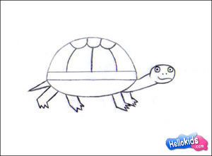 how-to-draw-turtle-step4