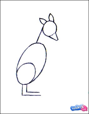 how-to-draw-wallaby-step2