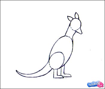 how-to-draw-wallaby-step3