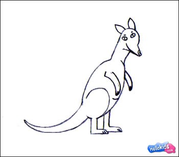 how-to-draw-wallaby-step4