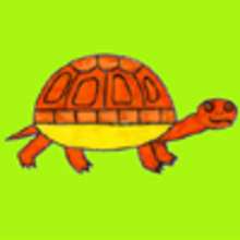 How to draw a turtle