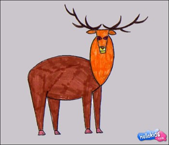 how-to-draw-wapiti