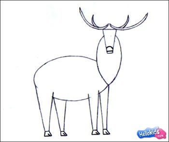 how-to-draw-wapiti-step3