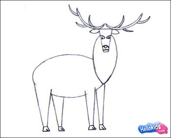 how-to-draw-wapiti-step4