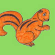How to draw a xerus - Drawing for kids - HOW TO DRAW lessons - How to draw ANIMALS - How to draw WILD ANIMALS
