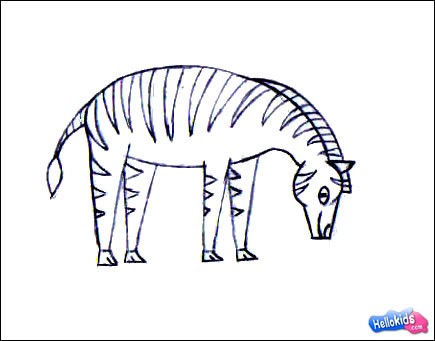 how-to-draw-zebra-step4