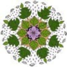 ELF mandalas - MANDALA coloring pages - Coloring