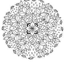 Flower elf mandala