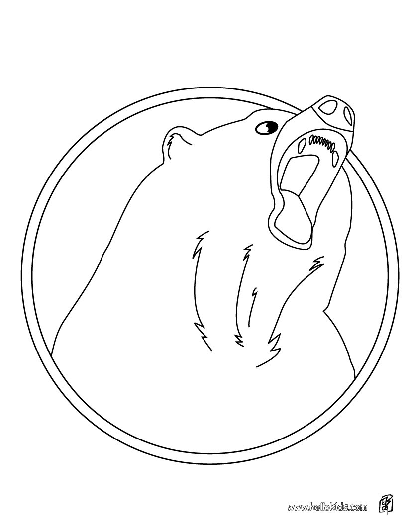 american black bear coloring page source ref