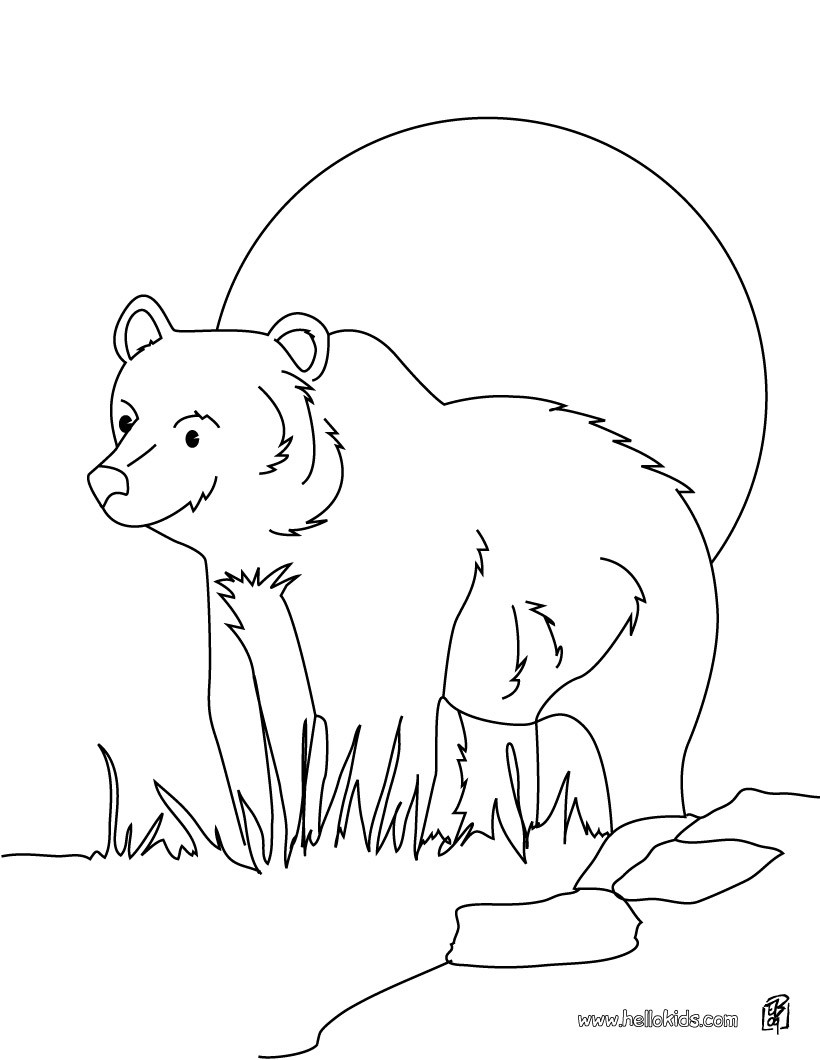 Grizzly bear coloring pages   Hellokids.com