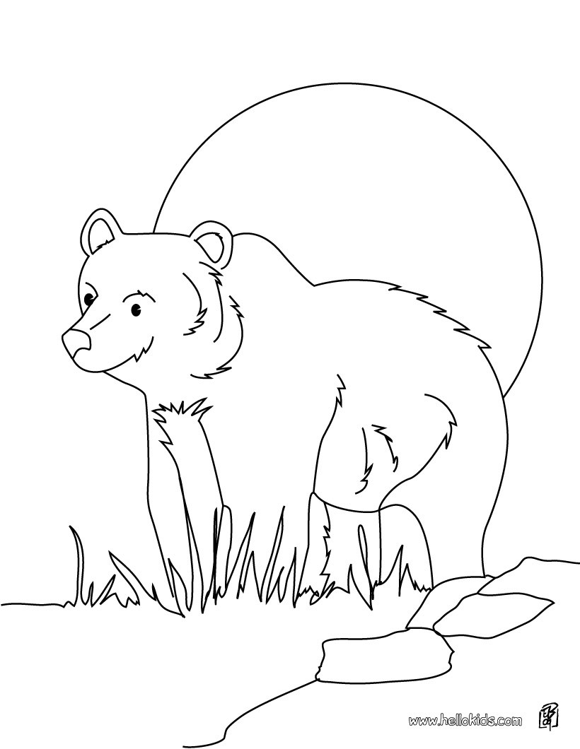 forest bear coloring pages