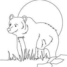 Teddy Bear Coloring Pages on Big Bear Coloring Page   Bears Coloring Pages