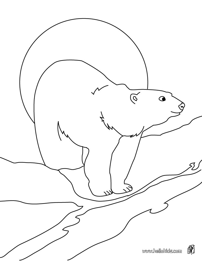 Printable Coloring Pages Polar Bear