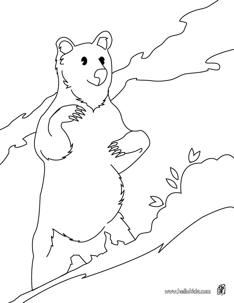 Sun Bear Coloring Pages Hellokids Page