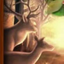 Zoo Break Out - Free Kids Games - ONLINE games - PUZZLE - IMAGE SEARCH