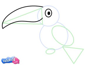 how-to-draw-toucan-step3