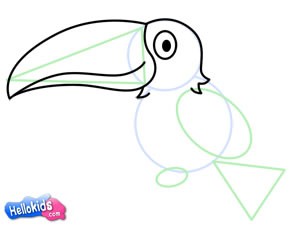 how-to-draw-toucan-step4