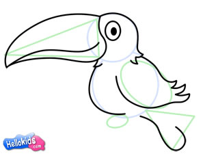 how-to-draw-toucan-step5