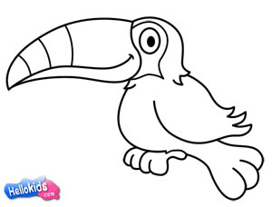 how-to-draw-toucan-step6
