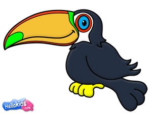 how-to-draw-toucan-step7