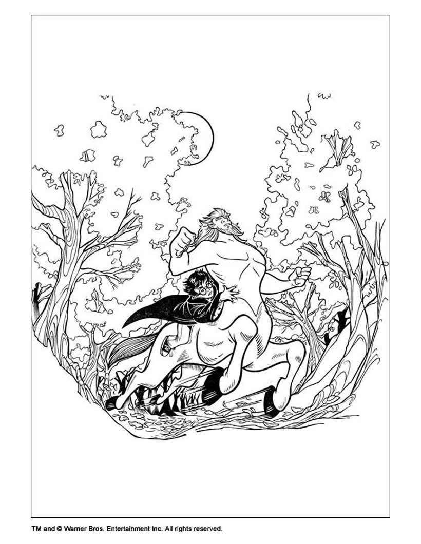 harry potter with centaur coloring page source zjg