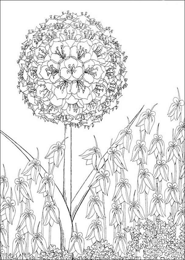 flower coloring pages. kirikou-flower-coloring-page