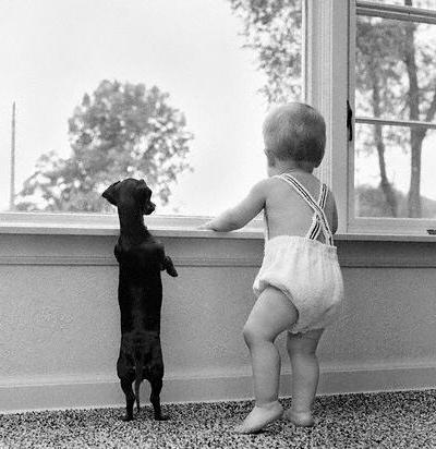 baby and dog