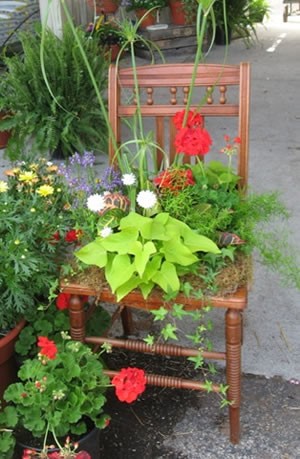 chair garden