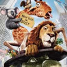 The Wild 37