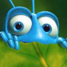 A Bugs life coloring pages - DISNEY coloring pages - Coloring page