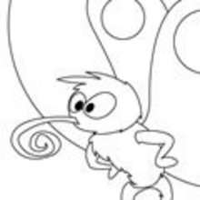 Also in BUTTERFLY coloring pages