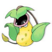 GRASS POKEMON coloring pages - MANGA coloring pages - Coloring page