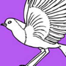 BIRD coloring pages - ANIMAL coloring pages - Coloring page